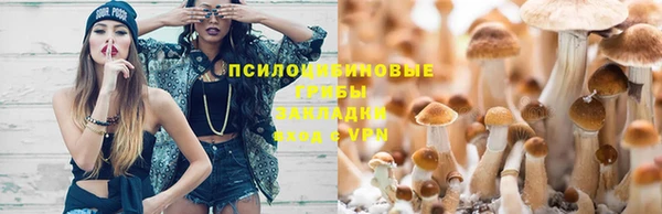 дживик Бронницы