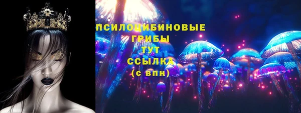 дживик Бронницы