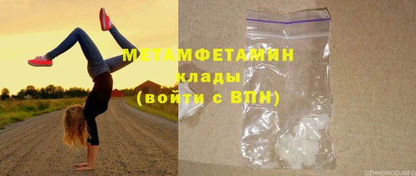 трава Бородино