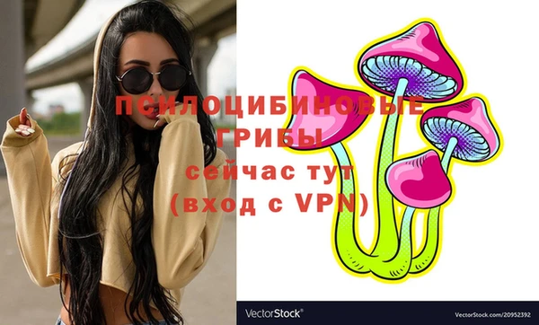 мяу мяу мука Бугульма