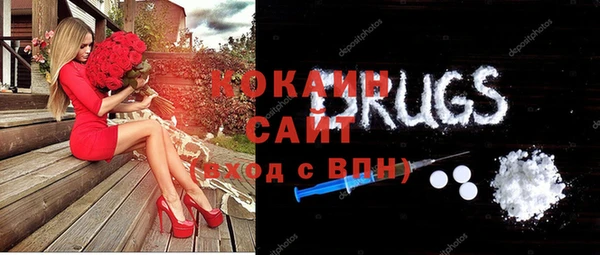 дживик Бронницы