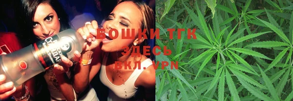 дживик Бронницы