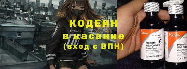 дживик Бронницы
