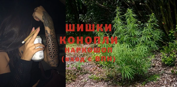дживик Бронницы