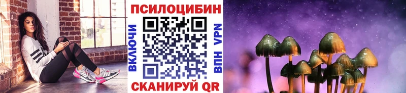 blacksprut сайт  Мытищи  Псилоцибиновые грибы Magic Shrooms 
